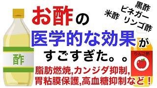 「お酢」の医学的効果がすごすぎた。カンジダ抑制、高血糖の予防、減量効果ほか。米酢、黒酢、リンゴ酢、ワインビネガーなと！【栄養チャンネル信長】