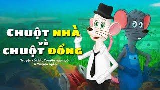 Chuột nhà và chuột đồng | Truyện cổ tích việt nam - Hoạt hình