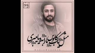 Roozbeh Bemani - روزبه بمانی