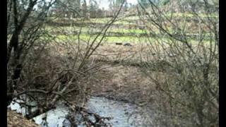 Running on a creek