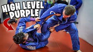 A Purple Belt BETTER Than Most Black Belts...