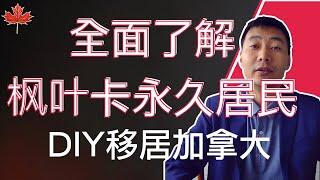 保姆级教程：全面了解枫叶卡永久居民｜DIY移民加拿大