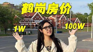 Road Trip to Hegang, China's Cheapest Housing City! Both 10,000¥ and 1,000,000¥ Houses Unbelievable!