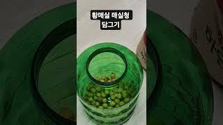 황매실 매실청 담그기 #shorts