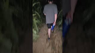 Lost in a corn maze