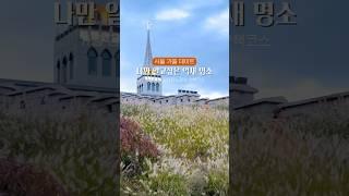 한국인들도 잘 모르는 무료 억새 명소 가을 여행지