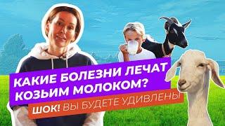 КАКИЕ БОЛЕЗНИ ЛЕЧАТ КОЗЬИМ МОЛОКОМ? ШОК! ВЫ БУДЕТЕ УДИВЛЕНЫ