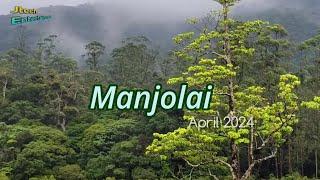 Manjolai in April 2024 | Beautiful Hill Station