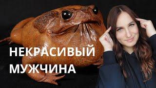 Страшненький, но как человек хороший.