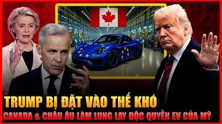 Trump Sốc Nặng: Canada Bắt Tay Châu Âu, Phá Vỡ Thế Độc Quyền EV Của Mỹ