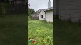 We took this overgrown yard and gave it a clean look with a sharp cut, clean edges, and a new vibe.