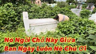 Kinh hãi cô gái trẻ về giữa ban ngày, khiến các thầy bùa phải làm chuyện “động trời” nghe mà Ớn Óc