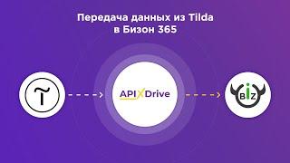 Integration of Tilda and Bizon365 | How to configure unloading of orders from Tilda to Bizon365?