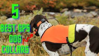 Best GPS Dog Collar For Hunting 2020 (5 Popular Models Compared)