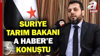 Suriye Tarım Bakanı A Haber'e Konuştu: "Amacımız Suriyeli Çiftçiyi Kalkındırmak" | A Haber
