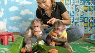 Lovely Mimi Kuku sitting obediently eating Gac sticky rice