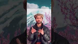Blossom season in Hunza & Skardu for tour ️ #skardudiaries  #blossominskardu #skardubesttour