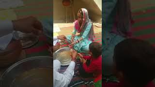 Bishnoi pahal#short #shorts #shortvideo #bishnoi_status #trending #shortvideo #viralvideo