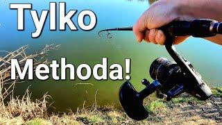 Pogrom Methody! Metoda  Skuteczniejsza Od Klasyka! Wędkarstwo Method Feeder!