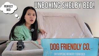 UNBOXING SHELBY BED!| PERFECT FOR DOGS ​⁠@dogfriendlyco