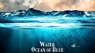 Atom Music Audio - The Sea | Documentary | Orchestral | Nature | Discovery