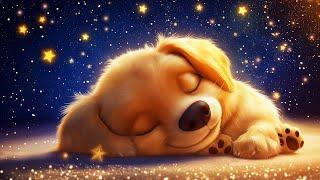 Relaxing Lullabies for Babies to Go to Sleep - Mozart for Babies