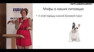 "Боль в жизни животных. Что нужно знать владельцу?" Татьяна Краснова на "Pet's behavior - 2018"