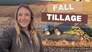 Fixing a Sprayer Fender, Feeding Calves & Fall Tillage with the T9 | Wisconsin Farm Life