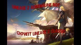 Скрипт для бот adrenaline lineage 2 Classic