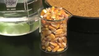 How Ethanol is Made