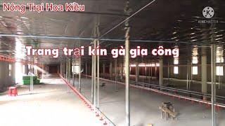Xây dựng trại gà gia công bạc tỷ, nông trại Hoa Kiều