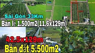 Bán đất Long An | Đất làm vườn, xây nhà vườn view Sông giá rẻ