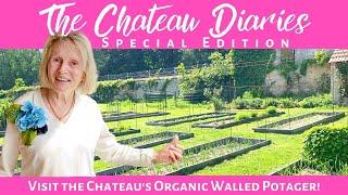 VISIT THE CHATEAU'S ORGANIC WALLED POTAGER!