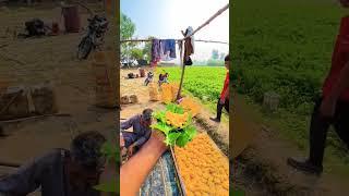 Happy Joint Family First Vog ll  kishwar Village Vlog Today ll Village Routine