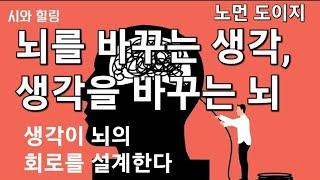 뇌를 바꾸는 생각, 생각을 바꾸는 뇌 ㅡ 노먼 도이지   /생각이 뇌의 회로를 설계한다