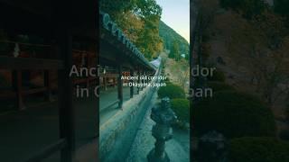 Okayama trip “Japan’s national treasure Kibitsu Shrine Corridor” #shorts #japantrip