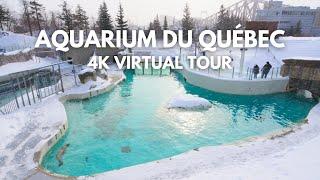 Aquarium du Québec Visit During Winter | 4K Full Video