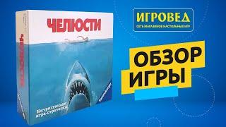 Челюсти. Обзор настольной игры от Игроведа