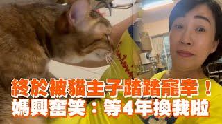 終於被貓主子踏踏寵幸！媽興奮笑：等4年換我啦｜寵物動物｜精選影片