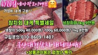 6/20일 킹크랩 대게 꽃게 모둠회 04시반 정규라이브(월~토)️Only one 새롭고 싸고  노량진수산시장 새벽 쇼핑을 돕는 정규생방송(Live)운영~