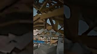 (잔인주의)삐뽀삐뽀/김뜻돌 #알고리즘