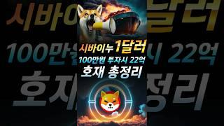 #시바이누호재 시바이누코인의 전망이 좋은이유 완벽정리!!