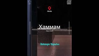 #Аквапарк #Карибия, кальдариум: #хамам для массажа. Строительство турецкой бани под ключ: #ИТССауна