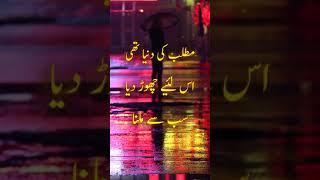 Matlab Ki Dunya Thi | WhatsApp Status Video | Urdu Quotes | TikTok Shayari