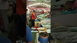 fish market CBD Belapur ########