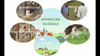 Elevage : l'approche globale - COMMENT PREVENIR PLUTOT QUE GUERIR  pour maitriser la santé animale