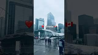 CN TOWER x ROGERS CENTRE #toronto #cntower #rogerscentre