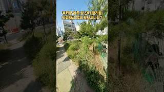 주차장 잡초 및 잔디 정리 #잔디정리 #잡초제거 #예초작업 #잔디관리 #마당정리 #조경관리 #예초대행 #주차장관리 #조경수관리 #잡초방지 #잔디정비 #정원관리 #수목정리 #정원정리