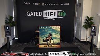 Gated HiFi Distribution, Borresen, Aavik and Ansuz Acoustics, Digital Switch Demos, Kudos, NAIM