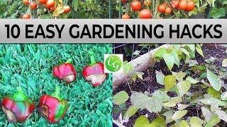 Top 10 Easy Gardening Hacks For your Vegetable Garden!